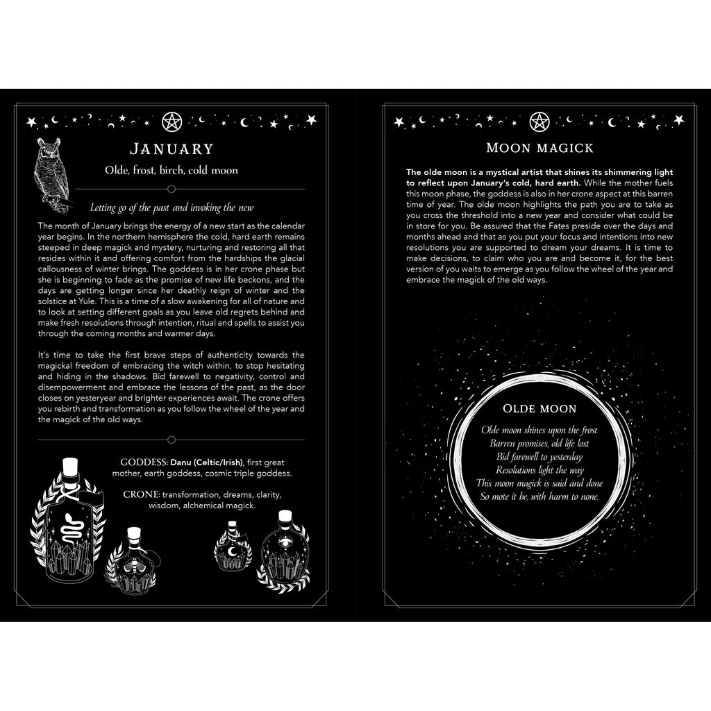 2024 Witch's Diary – Northern Hemisphere by Barbara Meiklejohn-Free, Flavia Kate Peters - Magick Magick.com