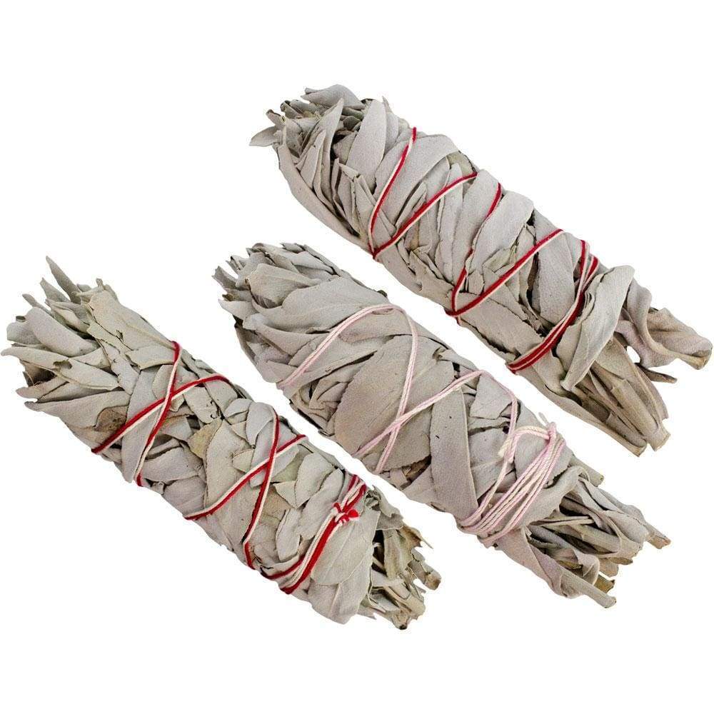 5-6" California White Sage Smudge Stick - Magick Magick.com