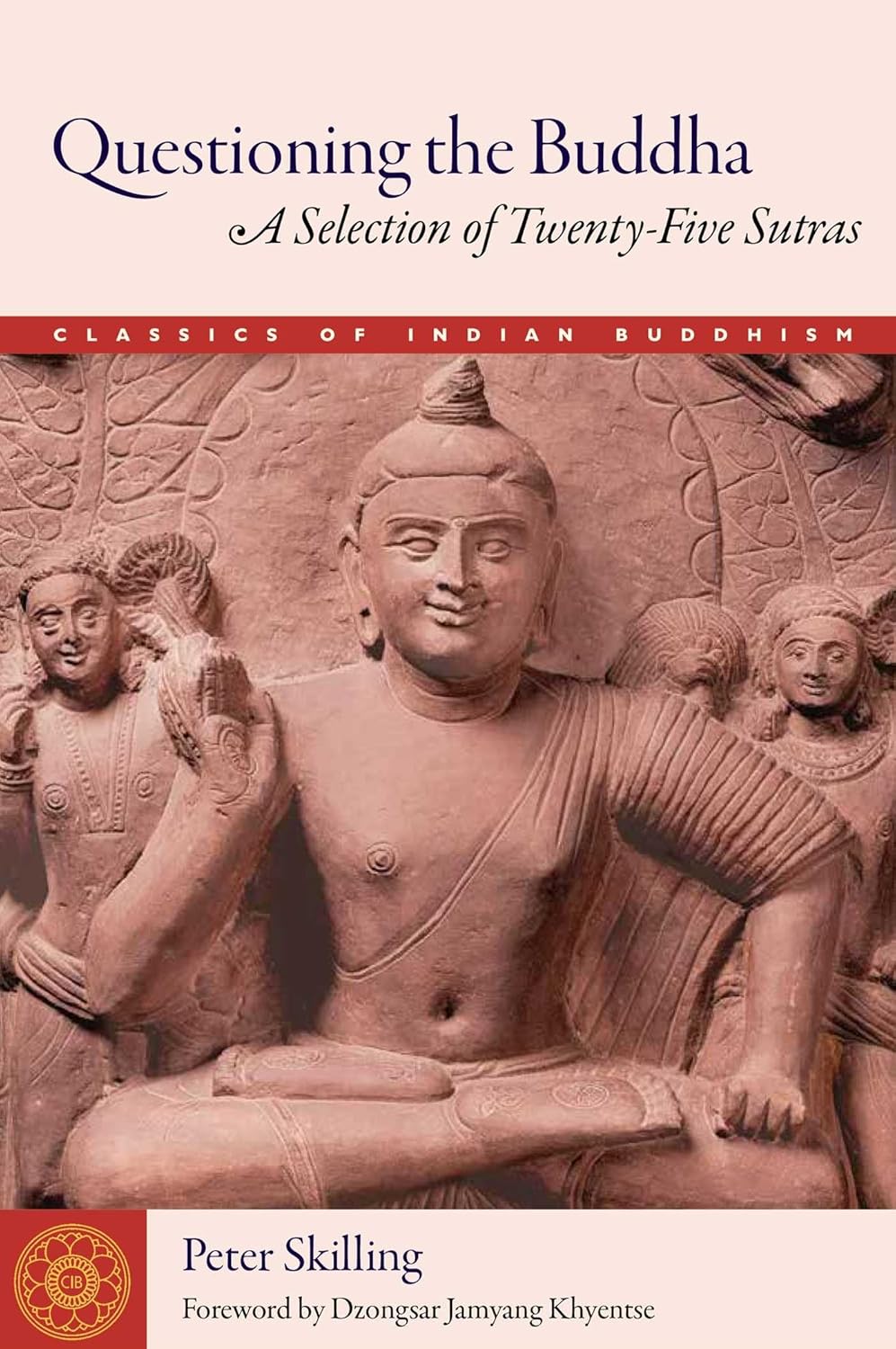 Questioning the Buddha: A Selection of Twenty-Five Sutras (Classics of Indian Buddhism) by Peter Skilling