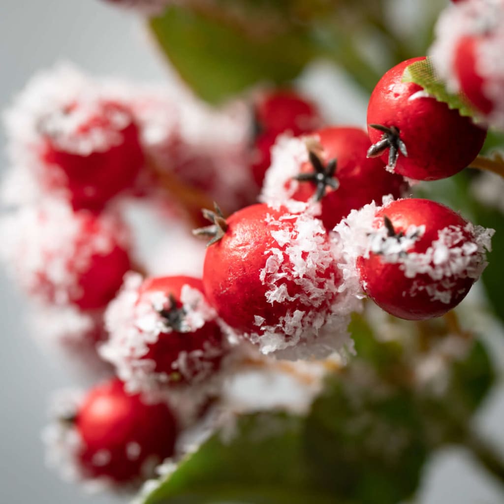 23 Frosted Red Berry Leaf Stem Christmas Decoration - Stems