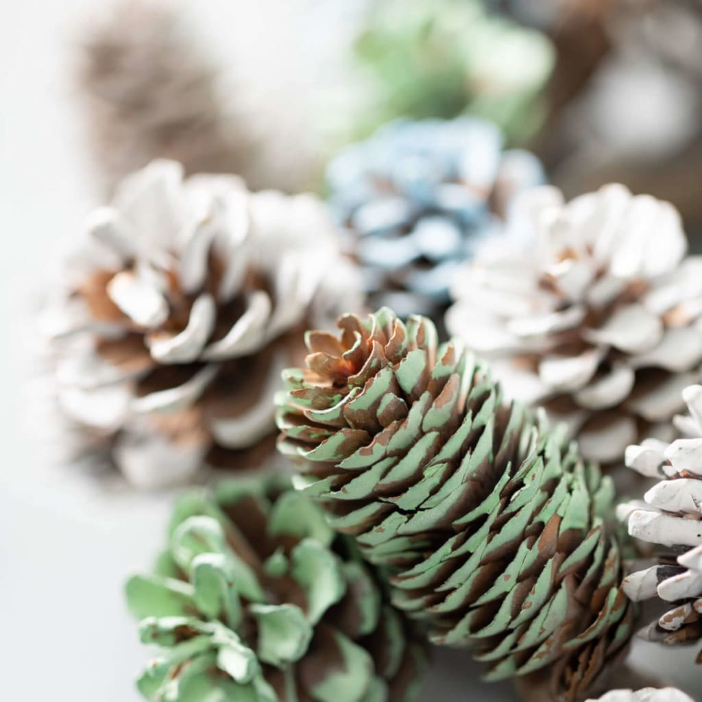12 Snow-dusted Pinecone Ring Christmas Decoration -