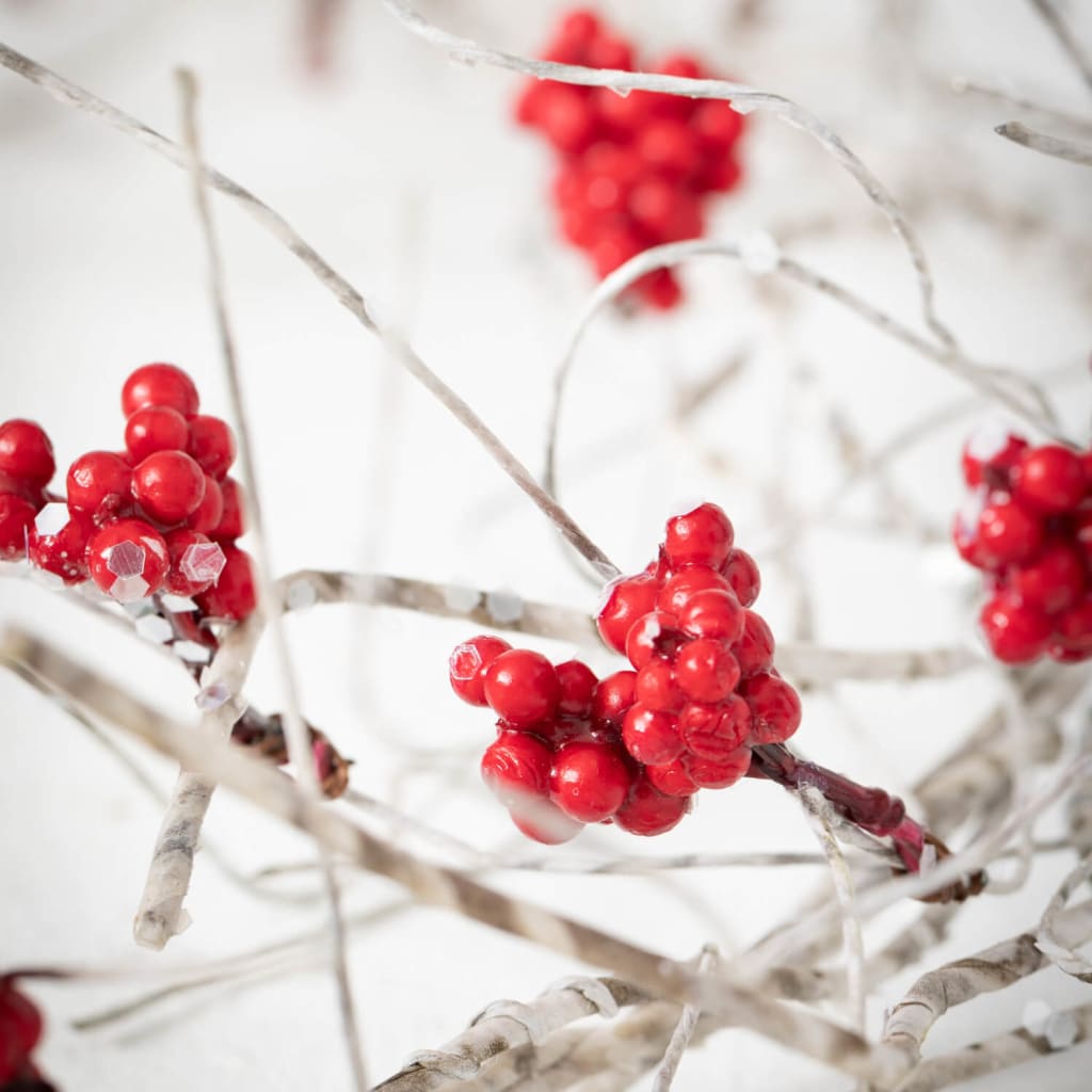 5’ Red Berry Birch Twig Garland Christmas Decoration -