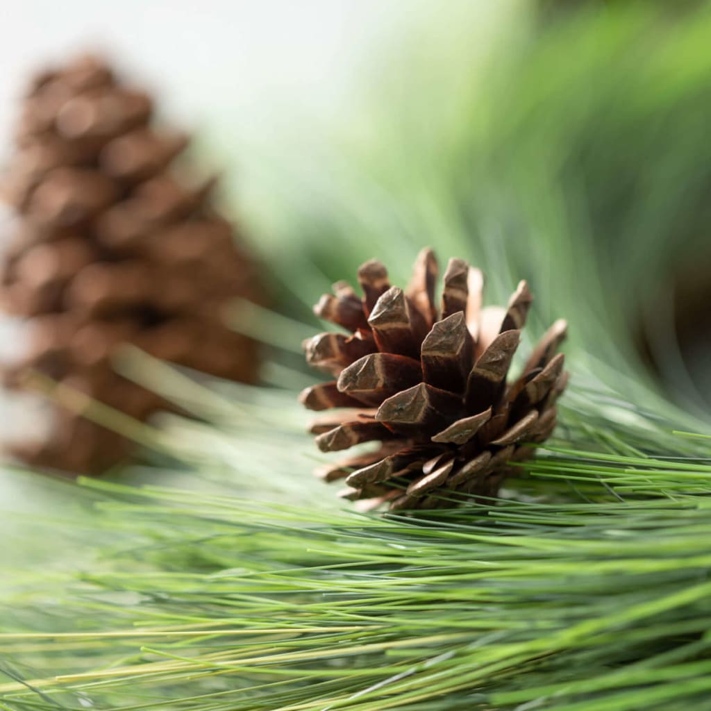 Woodland Long Pine Pick Christmas Decoration - Stems &