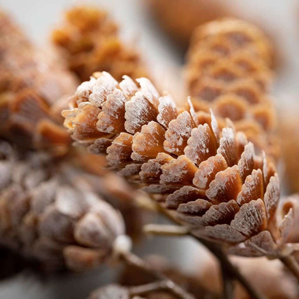Frosted Hanging Pinecone Spray Christmas Decoration -