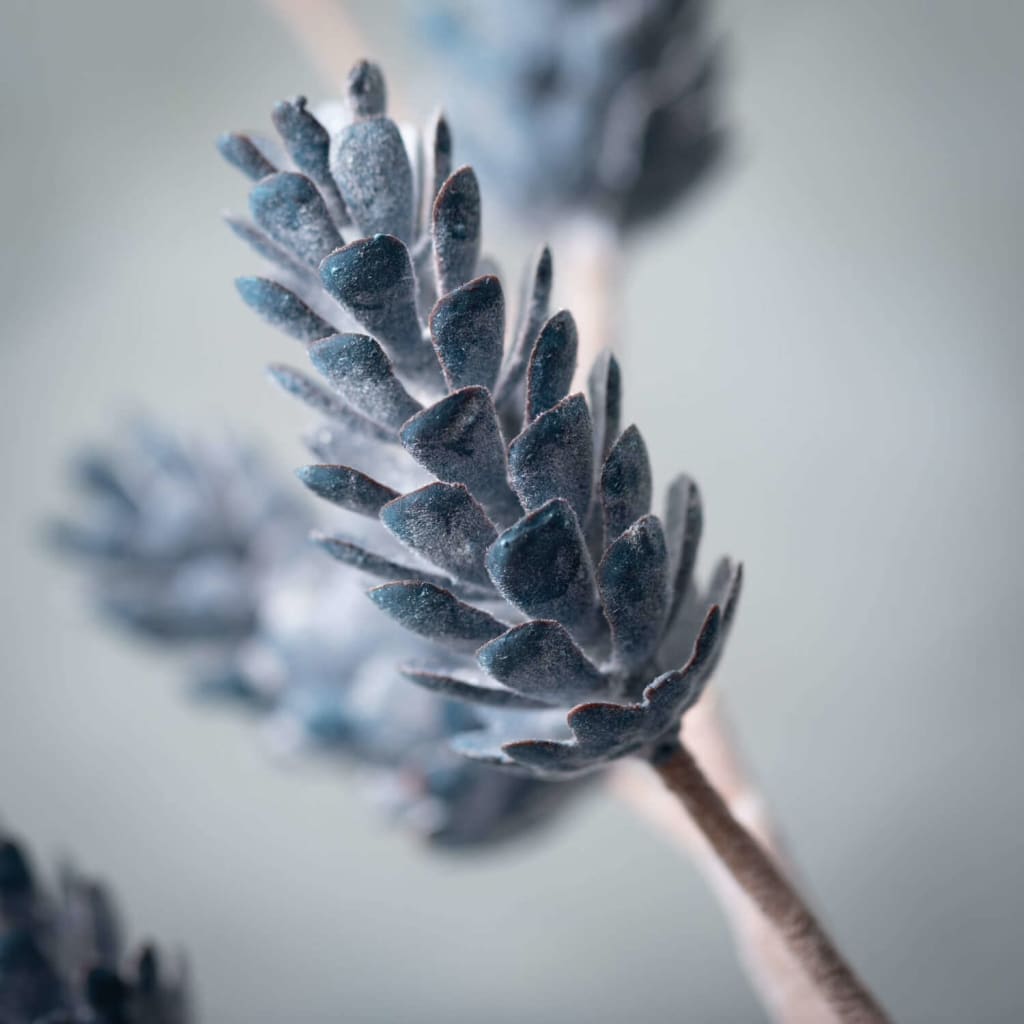 26 Blue Pinecone Spray Christmas Decoration - Stems &